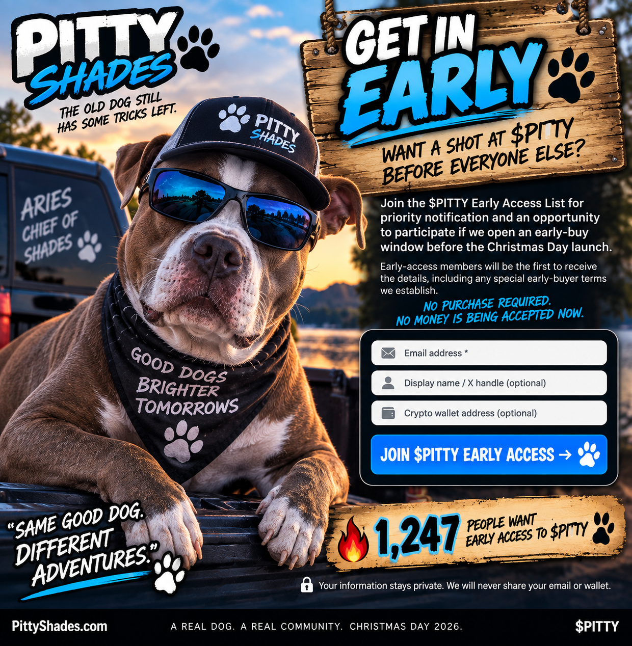 Aries the pit bull in a Pitty Shades cap and sunglasses inviting you to join the $PITTY Early Access List